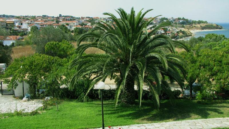 Villa Madeleine Tower View Néa Fókaia المظهر الخارجي الصورة